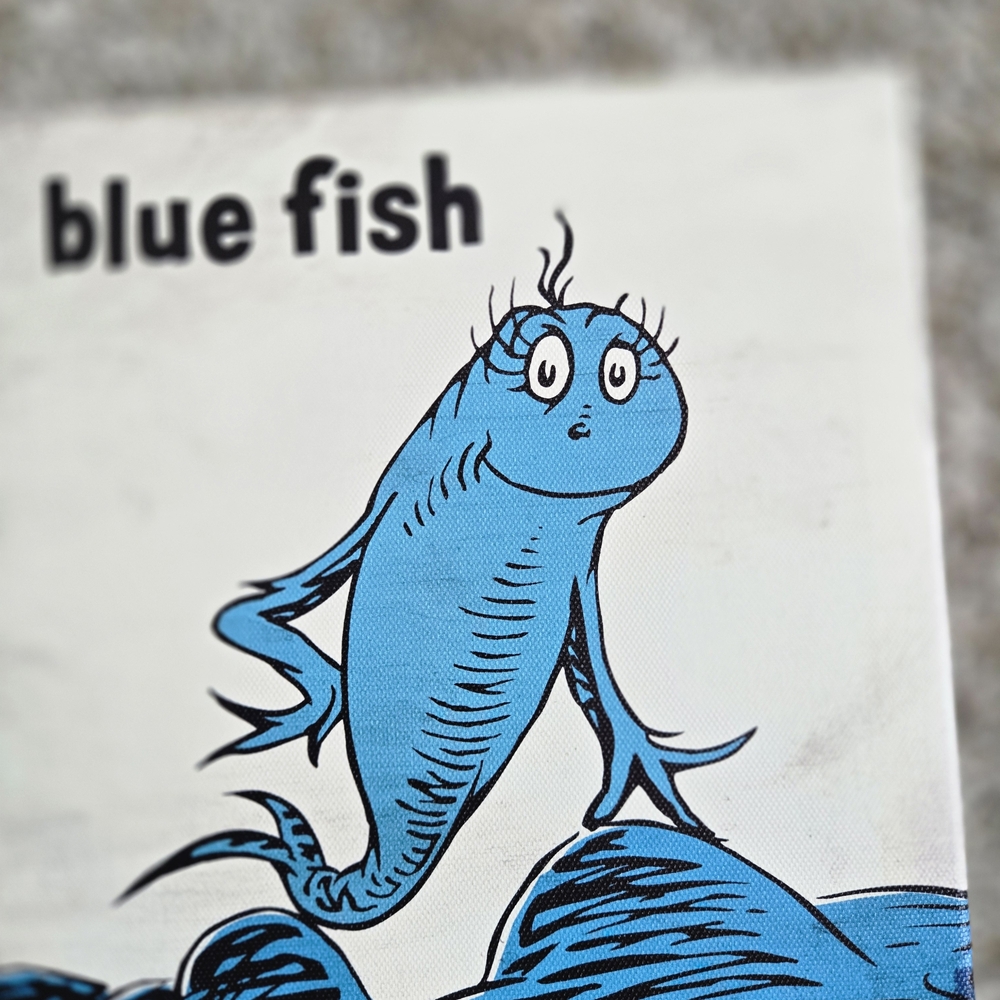 Colorful Fish Art Set - Picture 5 of 6